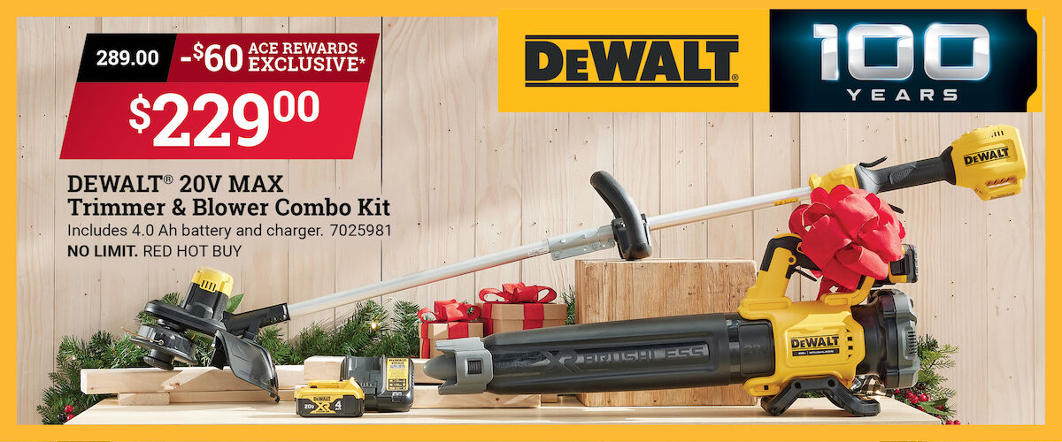 DeWalt® Combo Kit Deal