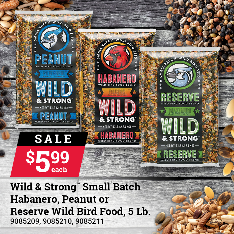 Wild & Strong Small Batch Wild Bird Food