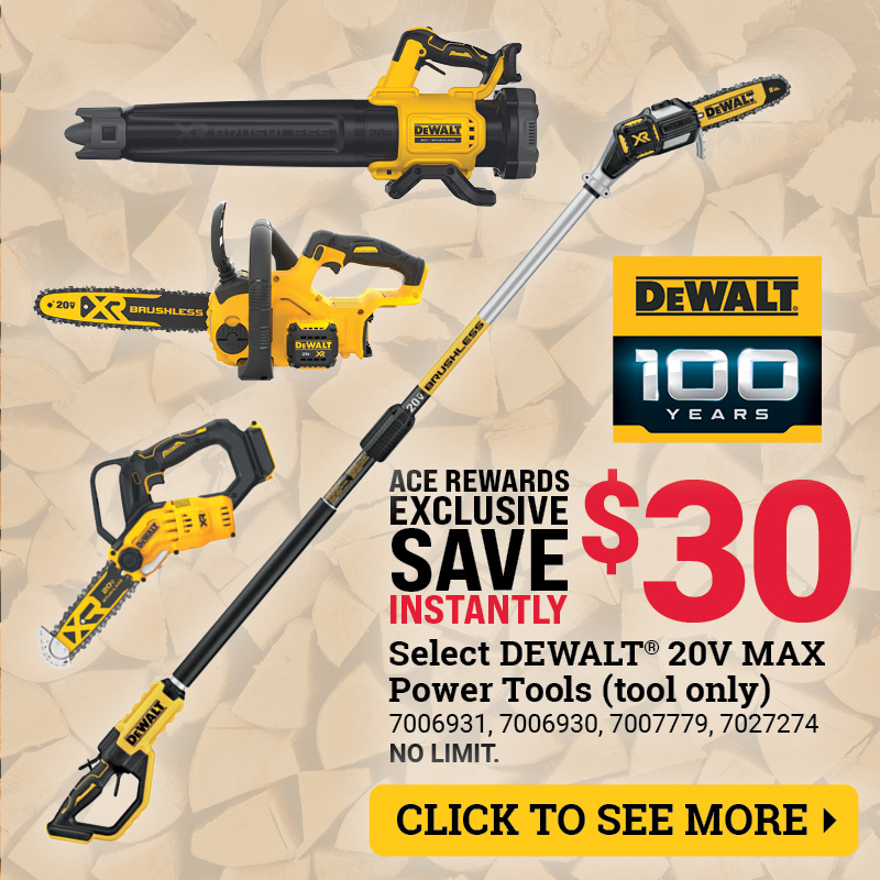 Select DeWalt® 20V MAX Power Tools