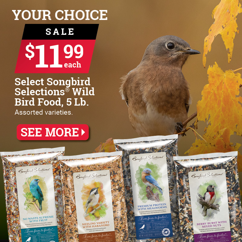 Select Songbird Selections® Wild Bird Food, 5 Lb.